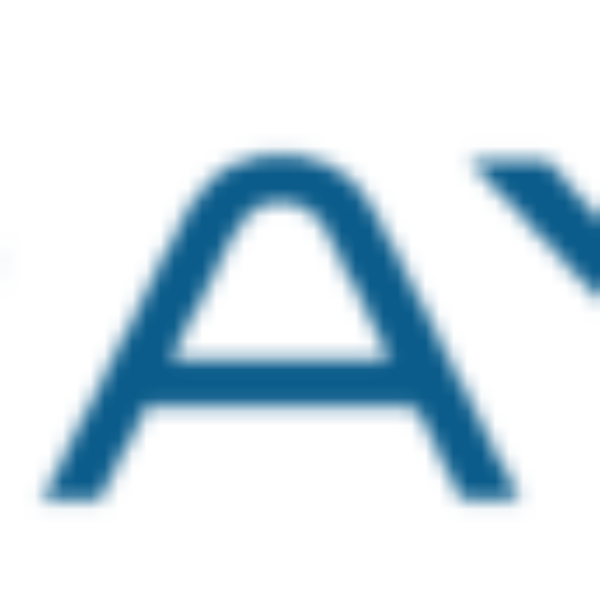 logo-raynet-2015-nobg